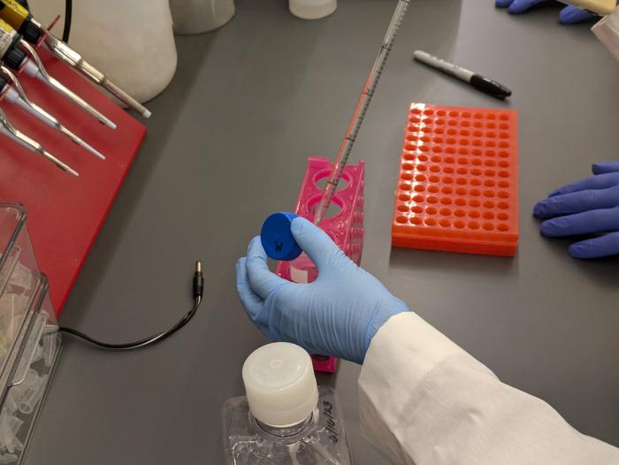 Diabetes Drug Metformin’s Blood Glucose-Lowering Effects Tied to Action on Gut Cells