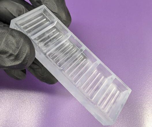 Special grooved trays developed at Cincinnati Children's were a key part of a novel process to produce larger, faster-growing gut organoids for use in medical research and potential human tissue repair. [Cincinnati Children's]