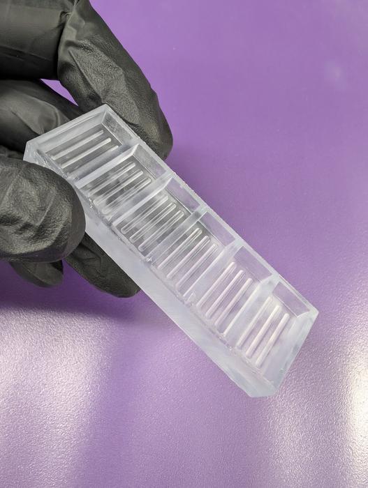 Human Gut Organoids with Functional Nerves Developed that Can Be Mass Produced