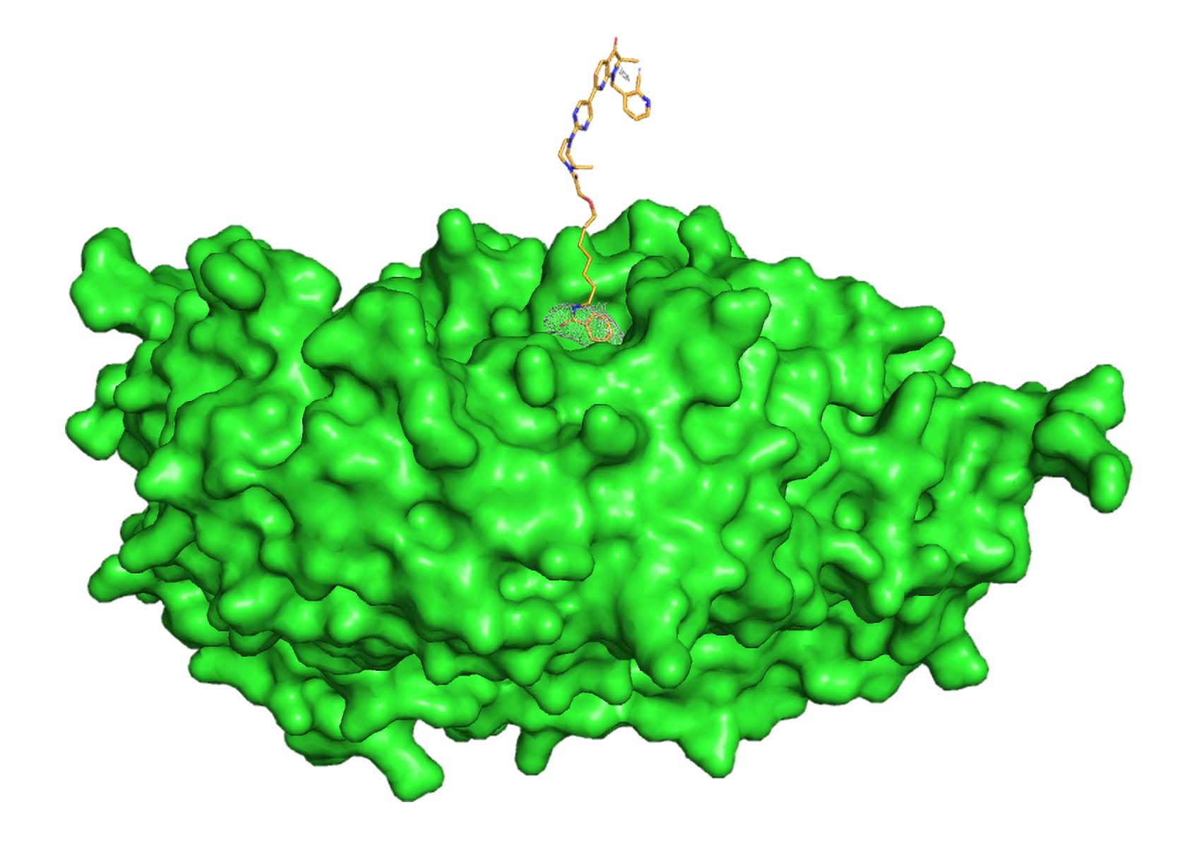 Targeted Protein Degradation Broadens Its Scope