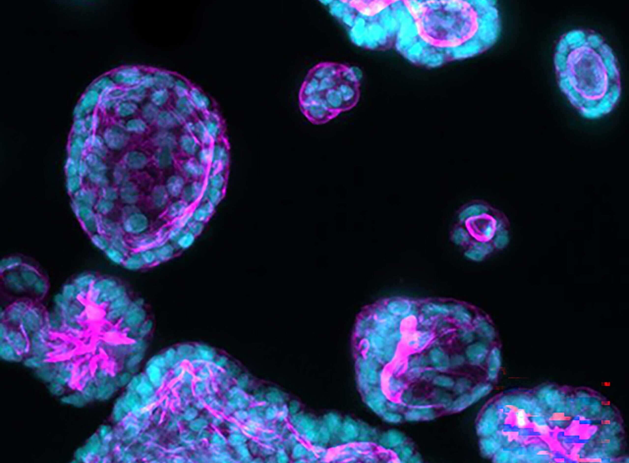 Next Generation Biopharma Innovation