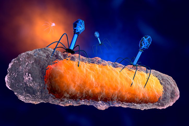 Fighting Antimicrobial Resistance with Biomaterials and Phages