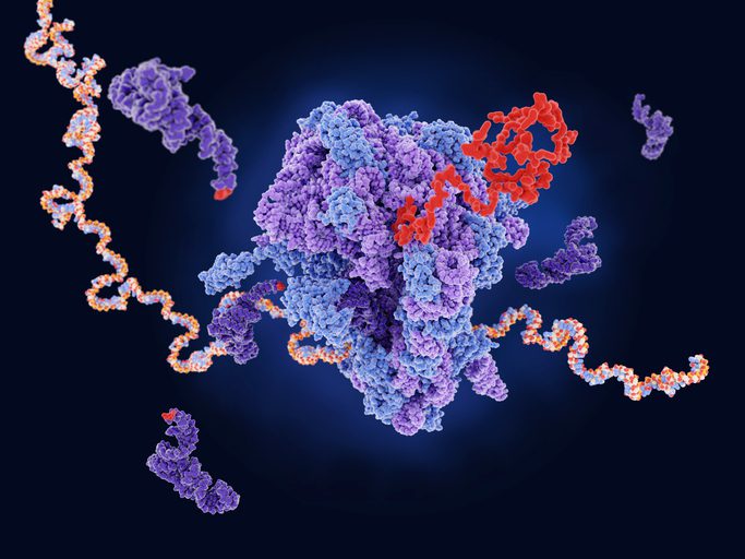 New Antibiotic, Manikomycin, Acts on Novel Ribosomal Target