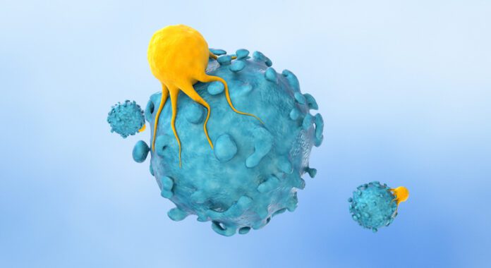 T cells targeting cancer cells