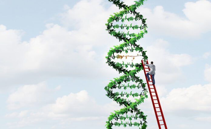 genome editing crops