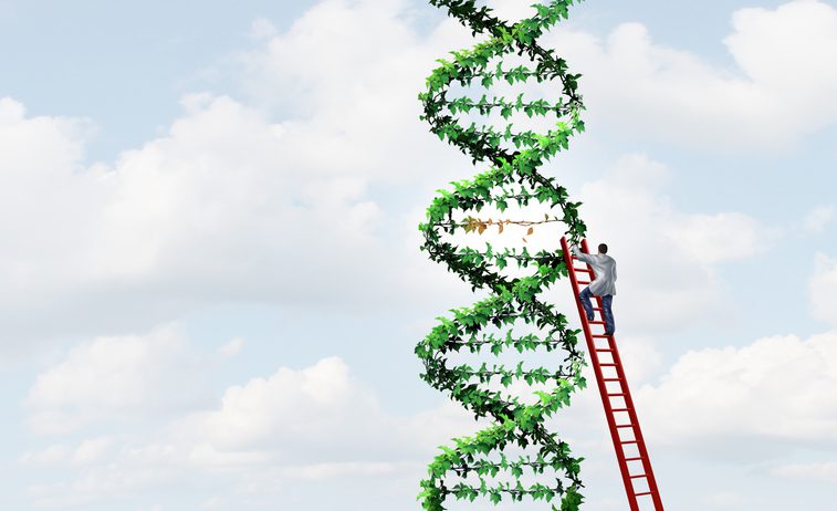 Twin Prime Editing Enables Rapid Trait Stacking in Crops