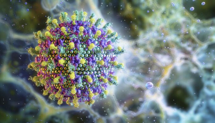 Nipah virus