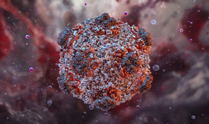 Hantavirus