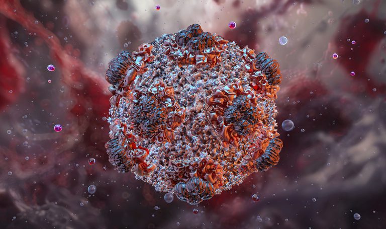 Hantavirus One-Shot mRNA Vaccine Fully Protects in Syrian Hamster Model