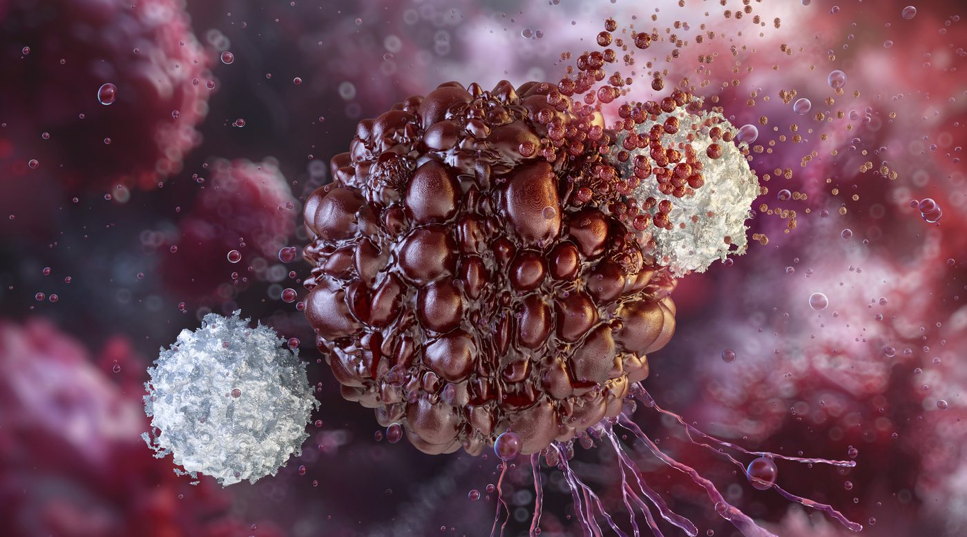 Novel Feeder Cell Line Dramatically Expands NK Cell Production