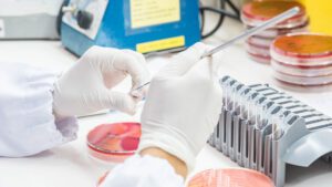 Fighting Antimicrobial Resistance with Biomaterials and Phages