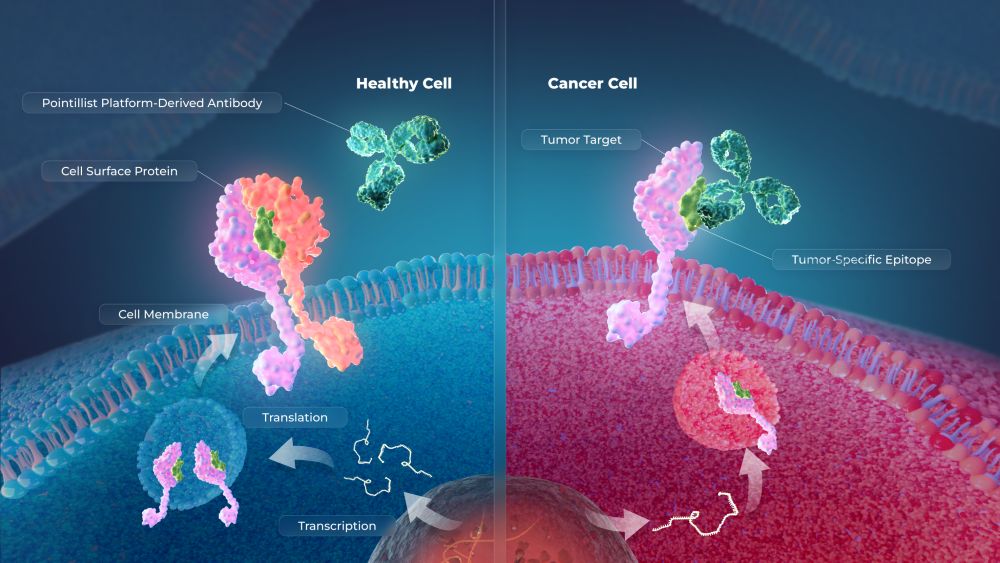 Stipple Bio and Lonza Agree to Focus on Advancing Oncology ADC Therapies