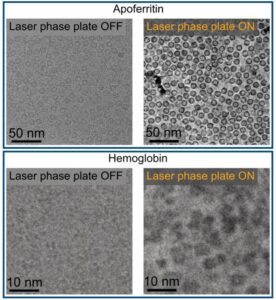 Laser‑Driven Phase Contrast Enhances Cryo‑EM Resolution of Small Proteins