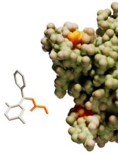 small-molecule
