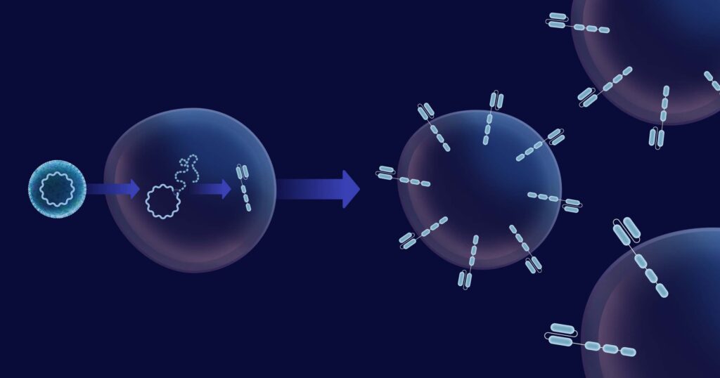 STX-005 illustration