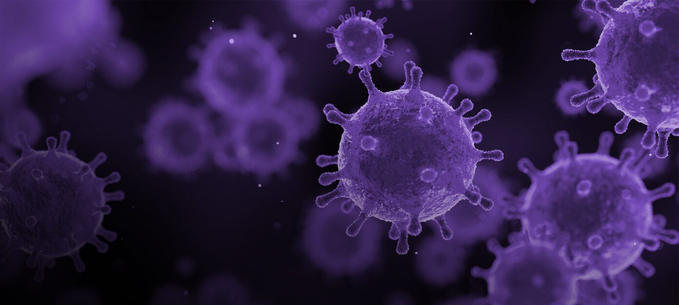 RT qPCR and qPCR Kits for Molecular Diagnostics Assay Development