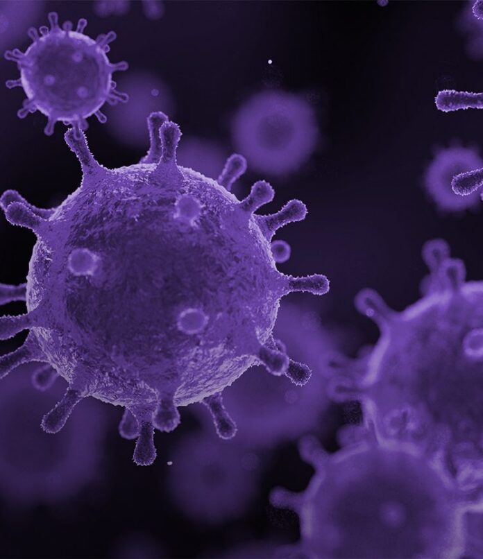 RT qPCR and qPCR Kits for Molecular Diagnostics Assay Development