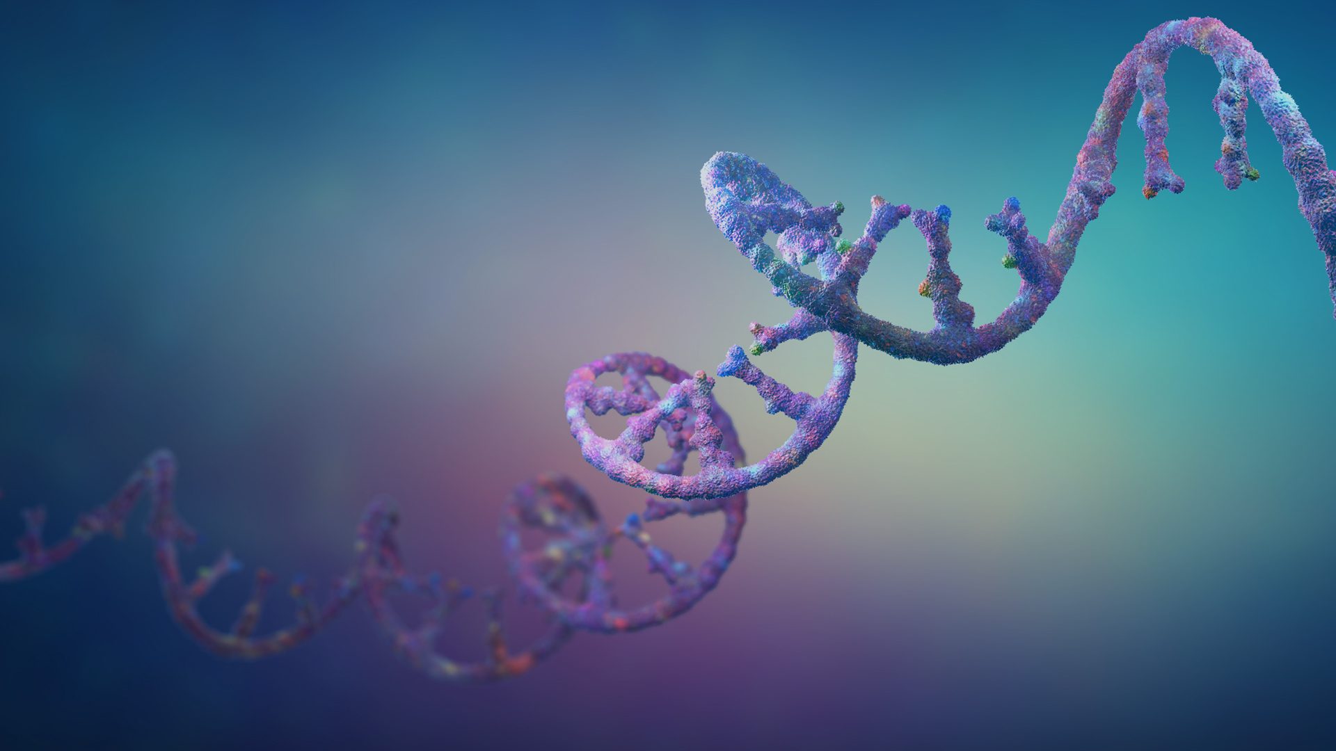 Spotlight on RNA Therapeutics