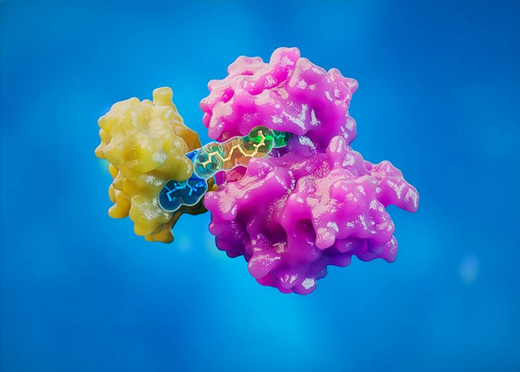 Proteolysis-targeting chimeras (PROTACs)