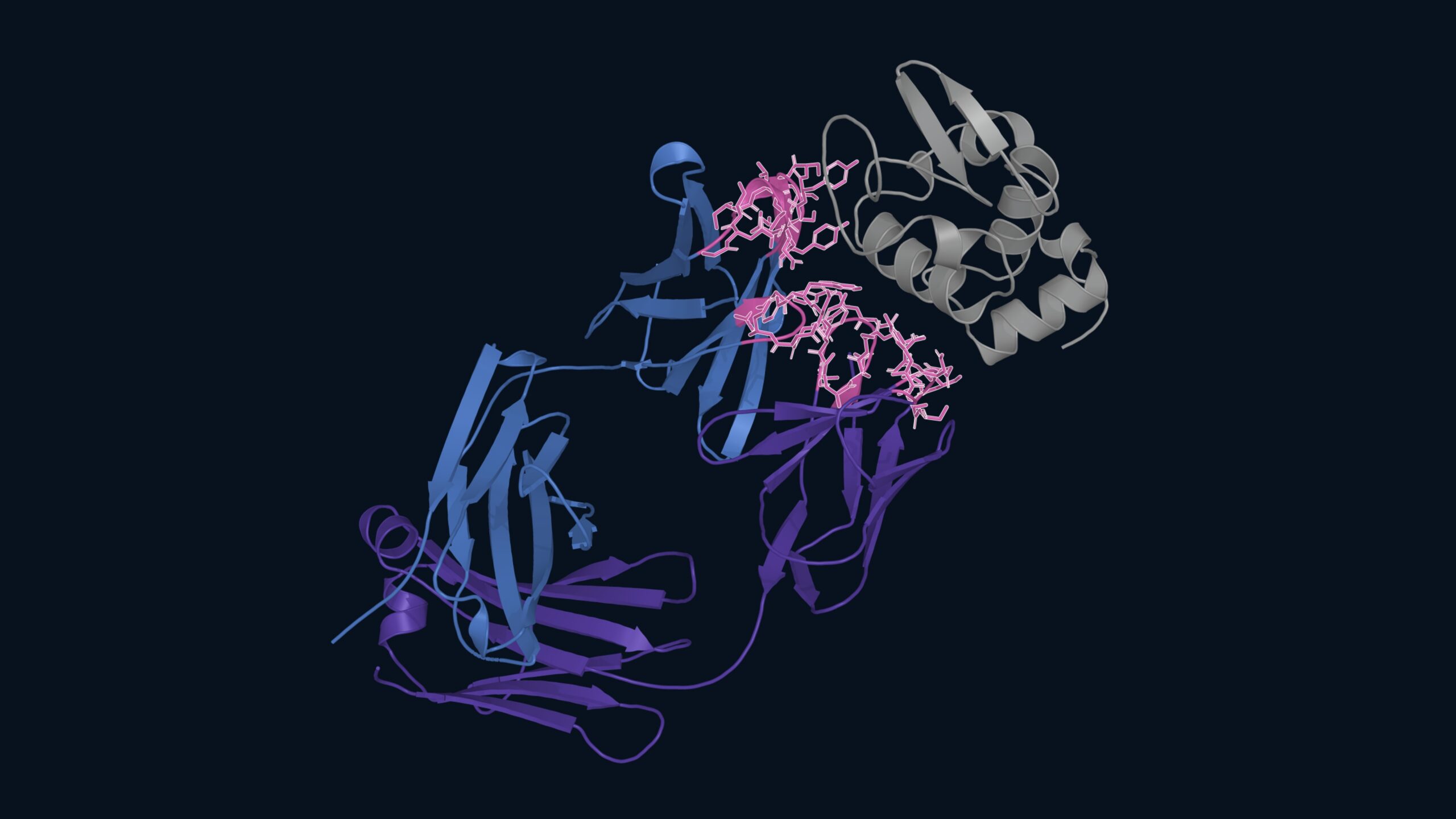Web App Helps Flag Antibodies Where Manufacturability Might Be an Issue