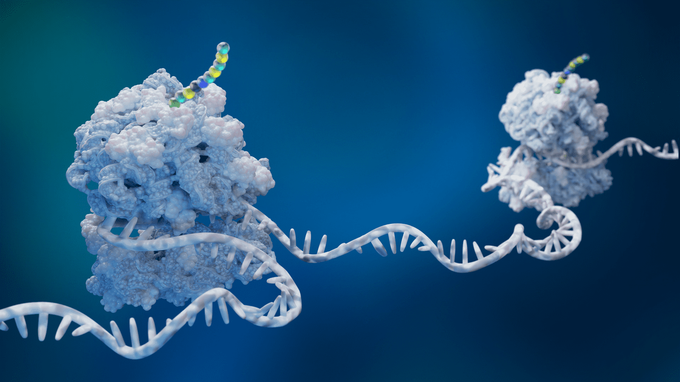 Recoded E. coli Promises More Scalable Weight Loss Drug Production