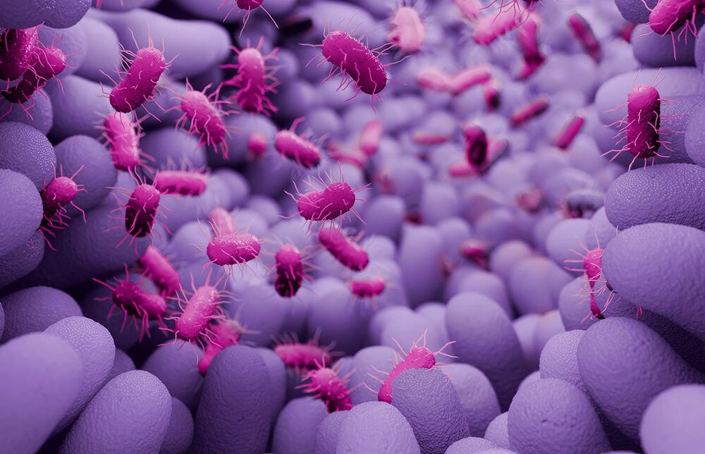 Unlocking Microbiome Function with Anaerobic Workflows and Metabolic Phenotyping