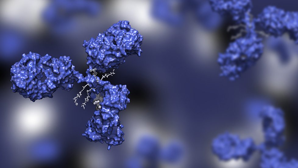 Analytical Challenges for Antibody-Drug Conjugate (ADC) Manufacturing
