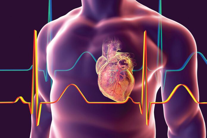 GENExclusive_Getty_758308075_KaterynaKon_SciencePhotoLibrary_GettyImages_Heart