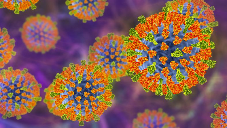 Oral Antiviral Blocks Measles-Like Virus Transmission in Ferrets