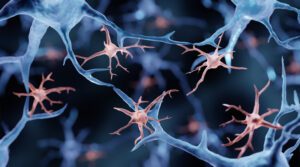 Single-Cell Atlas Simultaneously Maps 3D Genome Architecture and DNA Methylation
