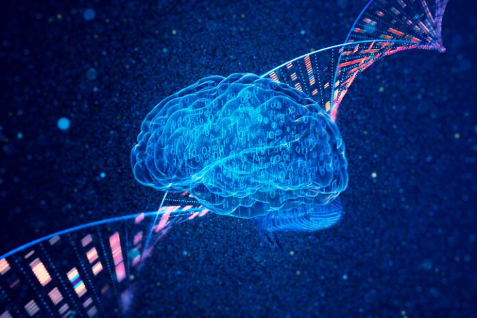 Brain and genomic DNA Binary brain and genomic DNA on a dark blue particle background.