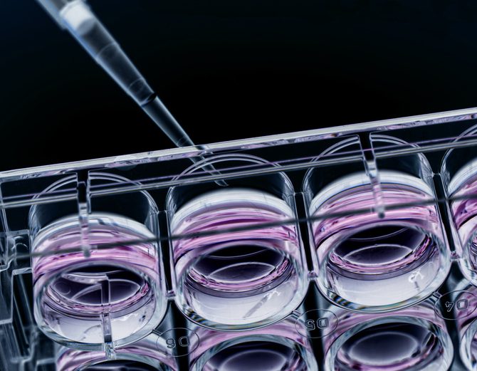 Nova Biomedical Acquires NanoCellect Assets to Expand Cell Line Development Portfolio