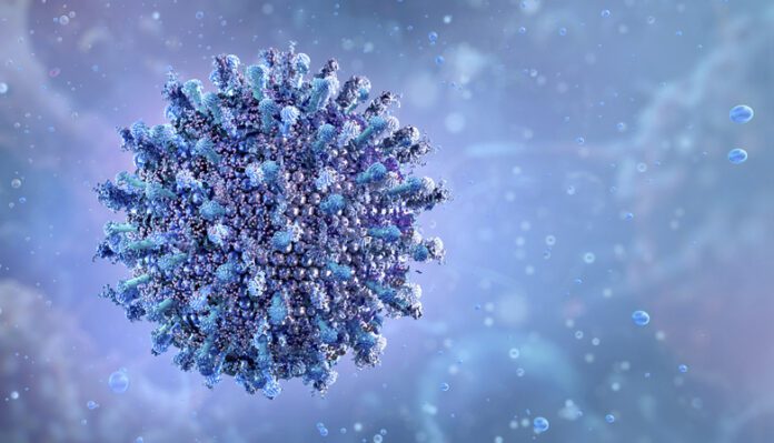 Illustration of a Crimean-Congo haemorrhagic fever (CCHF) virus particle. CCHF is a tick-borne virus that can cause severe viral haemorrhagic fever in humans, with symptoms including high fever, bleeding and multi-organ failure. Infection with CCHF virus is fatal in nearly one in three cases