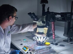 Researcher Joaquin Martinez Tambella working in the laboratories of the Institute for Bioengineering of Catalonia (IBEC). Martinez is a PhD student at the Nanoprobes and Nanoswitches group at IBEC and co-first author of the study. [Institute for Bioengineering of Catalonia (IBEC).]