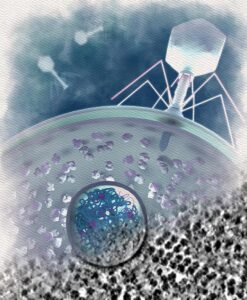 UCSD, IGI Partnership Expands CRISPR Innovation Across Health, Agriculture, and the Environment