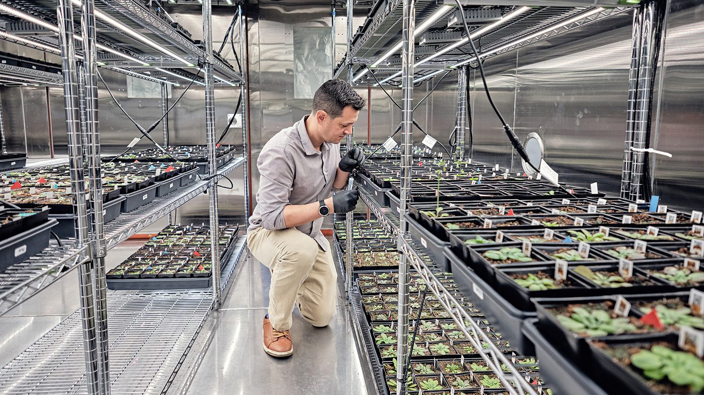 Ag Genomics Begins to Bear Fruit