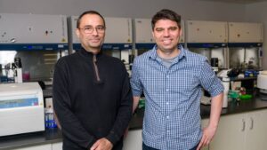 This image shows Pablo Perez-Pinera, MD, PhD, (left) and Thomas Gaj, PhD, (right) both associate professors in the bioengineering department at U. or. I. are lead authors on the study [University of Illinois Urbana-Champaign].