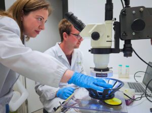 Researchers Rosalba Sortino (left) and Joaquin Martinez Tambella (right) working in the laboratories of the Institute for Bioengineering of Catalonia (IBEC). Sortino is a post-doctoral researcher at the Nanoprobes and Nanoswitches group at IBEC and co-first author of the study. Martinez is a PhD student at the Nanoprobes and Nanoswitches group at IBEC and co-first author of the study. [Institute for Bioengineering of Catalonia (IBEC).]