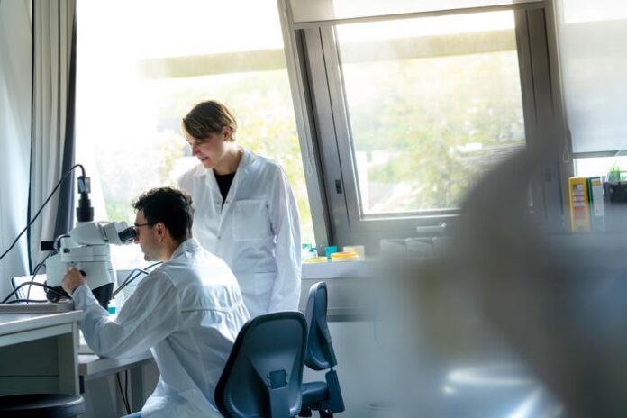 In the lab at the Institute of Science and Technology Austria (ISTA): Alessandro Venturino (left) and Sandra Siegert (right). [© ISTA]
