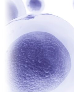 RNA and cellular biology