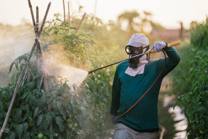 Getty-1290199657 insecticide spraying on plants