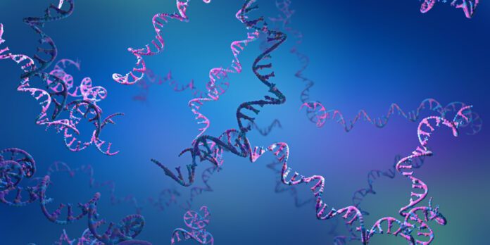 RNA strands