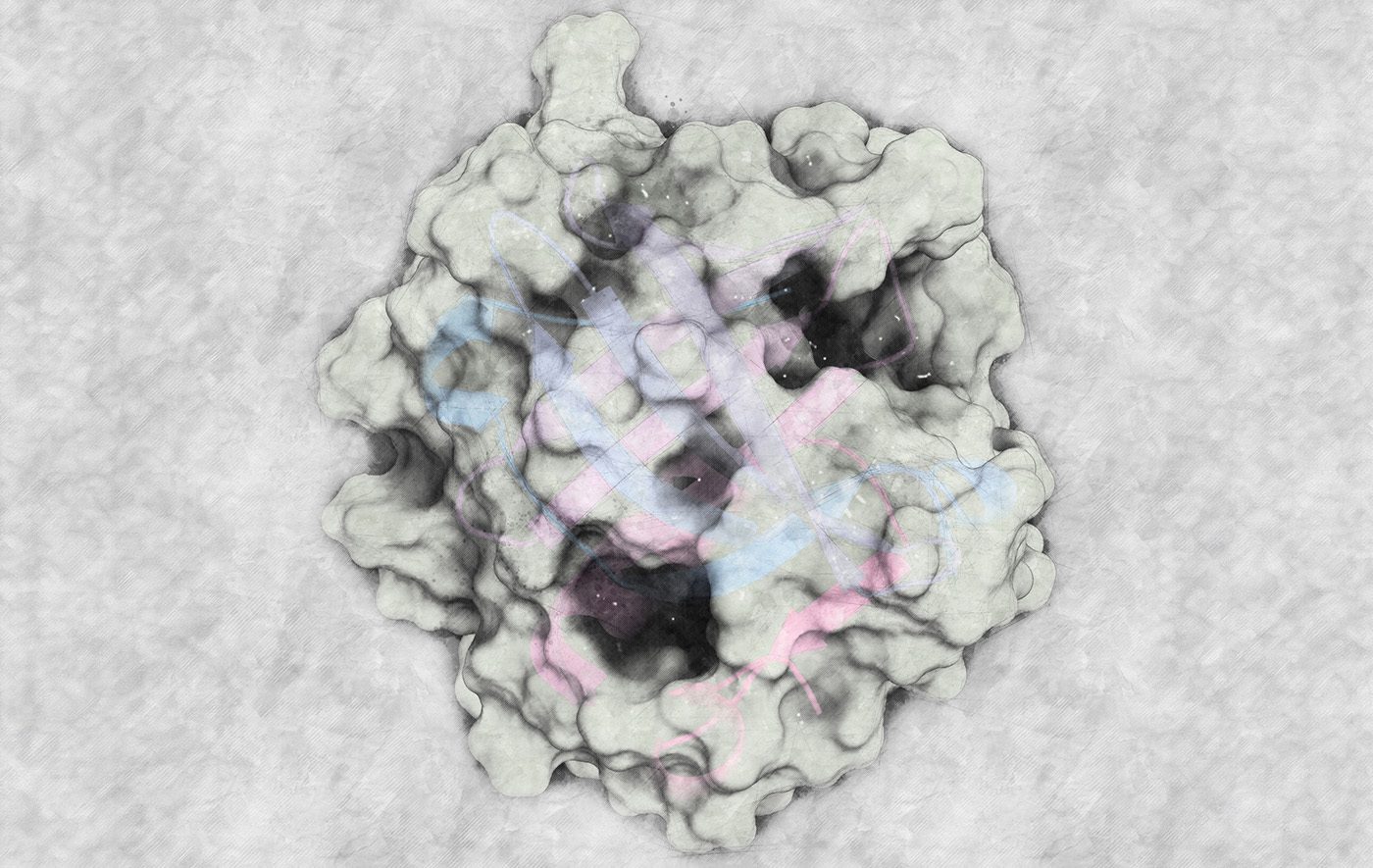 GettyImages-1454330735_BovineBeta-LactoglobulinProtein Bovine beta-lactoglobulin protein