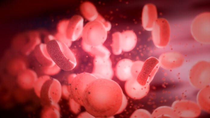 Getty-2286341317 red blood cells
