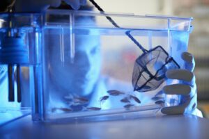 Genetic Findings Provide Insights Into Leading Cause of Back Pain