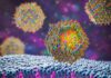 In Vivo Protein Generation Using Nanoparticle Delivery: Emerging Platforms and CMC Strategies Antiviral siRNA lipid nanoparticle