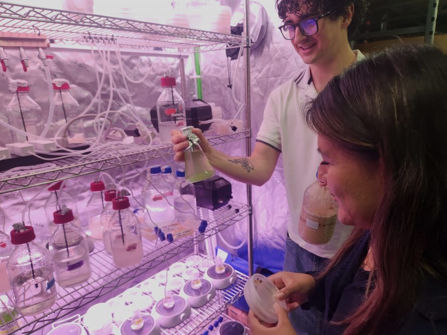 Algae-Based Food Product Development Earns Gates Foundation Award