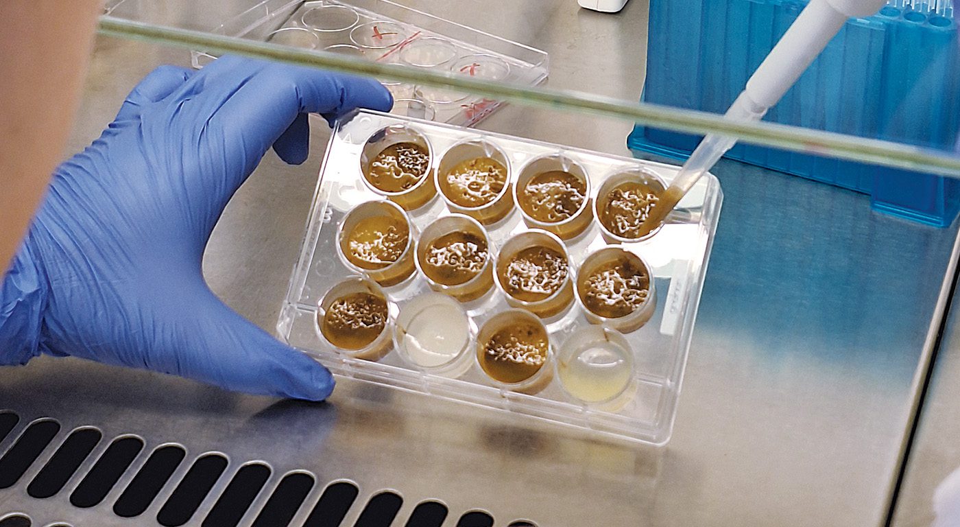 The Microbiome Field Enters Its Next Chapter