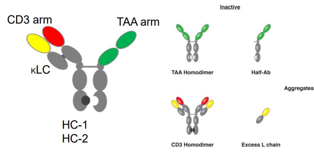 Teneobio Molecule illustration