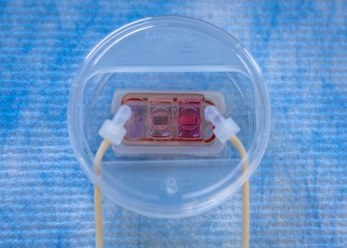 low-res-2 lab on a chip
